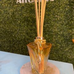 Kit Difusor Ellegance Luxo