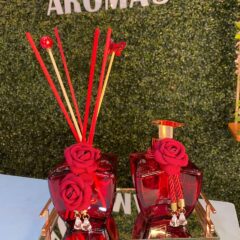 Kit Lavabo Estrela Luxo