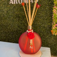 Kit Difusor Luna Luxo