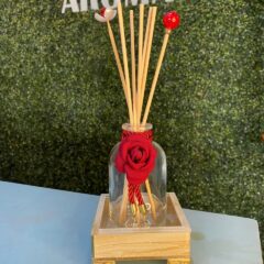 Kit Difusor Garrafa Luxo