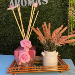 Kit Difusor Estrela Luxo