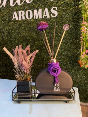 Kit Difusor Nina Luxo